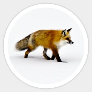 Vintage Fox in the Snow Sticker